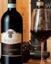Italy, Tuscany, Fattoria Svetoni Classic Tasting - The collection