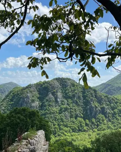 Montenegro, Skadar Lake, Kopitovic - Simple Tasting