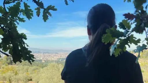Italy, Tuscany, From Florence - Hike & Wine with Lunch