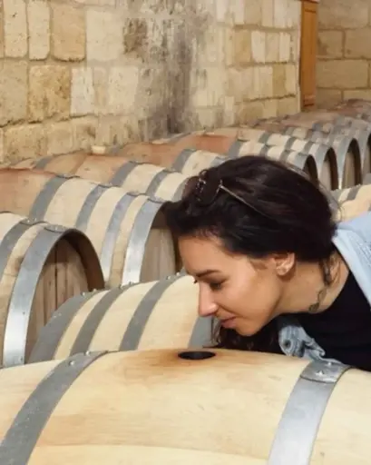 France, Bordeaux, Chateau Shuette - New wave Bordeaux: vineyard tour & tasting