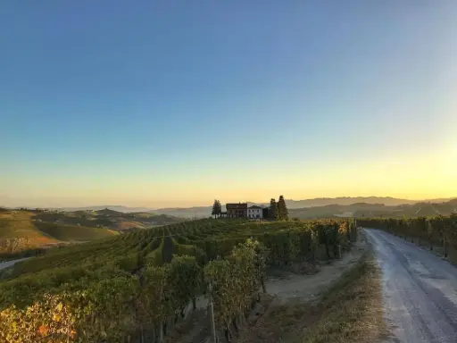Italy, Piedmont, Fratelli Serio & Battista Borgogno - Meet the Borgogno family through Langhe and Barolo wines 