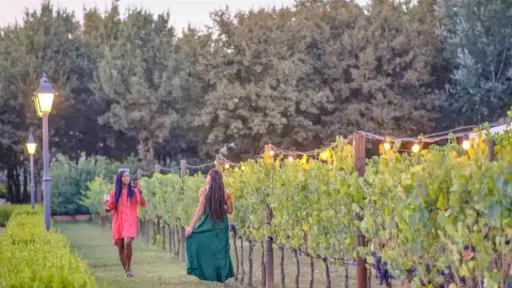 Italy, Tuscany, From Florence -  Chianti Delights: A Tale Of Two Wineries With A Vineyard Dinner