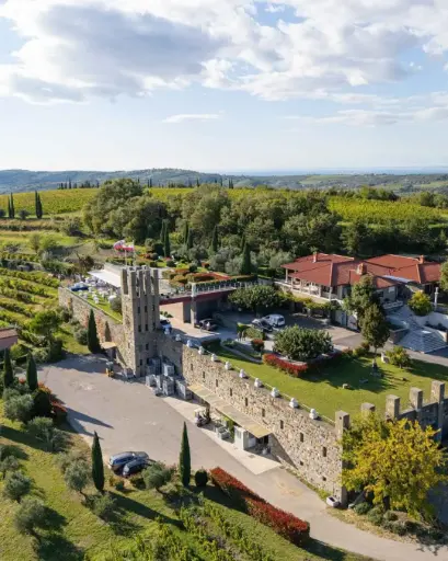 Slovenia, Slovenian Istria, Santomas - Wine tasting 4 samples