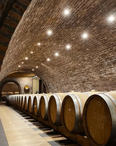 Serbia, Sumadija, Radovanovic - Classic wine tasting with snack and sightseeing of winery