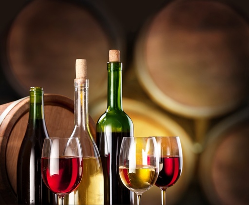 Slovenia, Ljubljana - From Ljubljana: Wine tasting day trip in Croatian Istria 