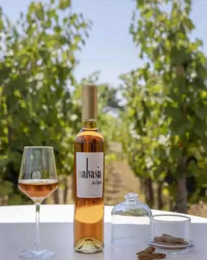 Italy, Sicily, Tenuta di Castellaro - The Classics Tasting