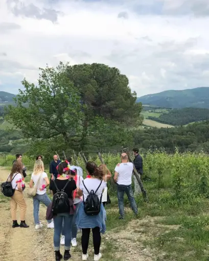 Italy, Tuscany, Torraccia di Presura - Wine Trekking