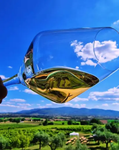 Italy, Umbria, Perticaia Winery - Just Wine