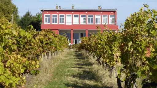 Bulgaria, Thracian Valley, From Plovdiv - Rural Flavours Experience: Academic Winery and Dairy Farm Visit
