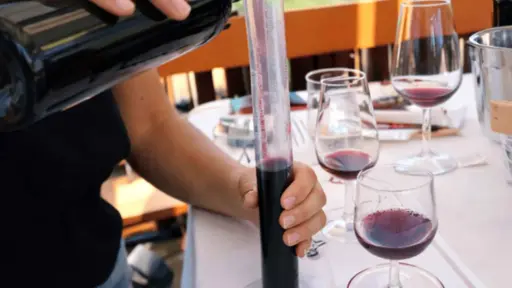 Bulgaria, Thracian Valley, From Plovdiv - Create Your Own Blend: Wine Workshop in the Countryside