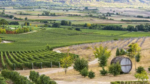 Bulgaria, Thracian Valley, From Plovdiv - Wine Escape to the Rhodope Foothills
