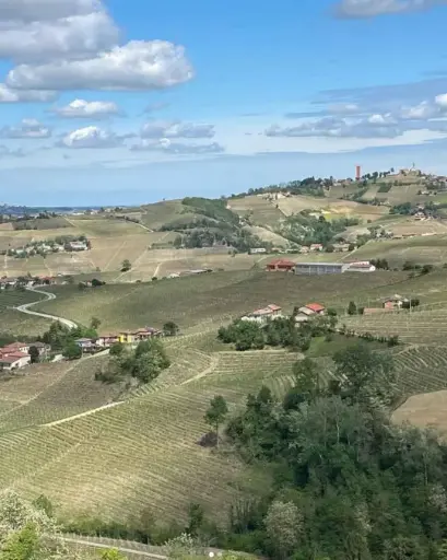 Italy, Piedmont, Simone Cerruti - Wine tasting in Langhe area