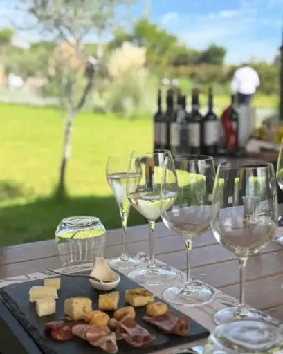 Italy, Campania, Quirinoli - Lunch & Wine Tasting on Mt. Vesuvius
