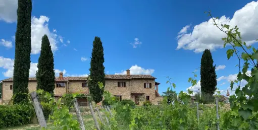 Italy, Tuscany, Tenuta Sovestro - As You Like
