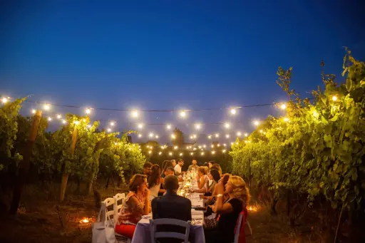 Italy, Campania, Sorrentino Vesuvio Vite Vulcaniche - Cooking Class, Tasting and Dinner in the Vineyard