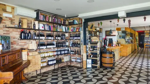 Italy, Campania, Sorrentino Vesuvio Vite Vulcaniche - Cellar Tour