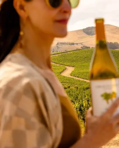 US, Napa Valley, Grgich Hills Estate - The AVA Exploration