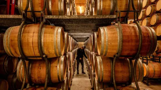 US, Napa Valley, Grgich Hills Estate - Private Library Tasting