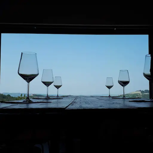 Italy, Piedmont, Giribaldi Azienda Agricola - Personalized Visit & Tasting with the WINEMAKER