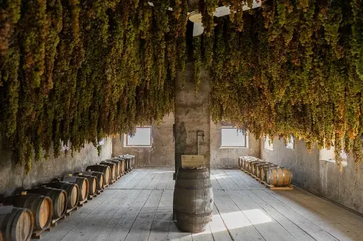 Italy, Veneto, Azienda Agricola Giovanni Menti - Evoluzione Experience