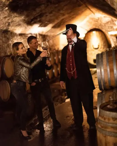 US, Sonoma, Buena Vista Winery - Barrel Tasting and Winery Tour