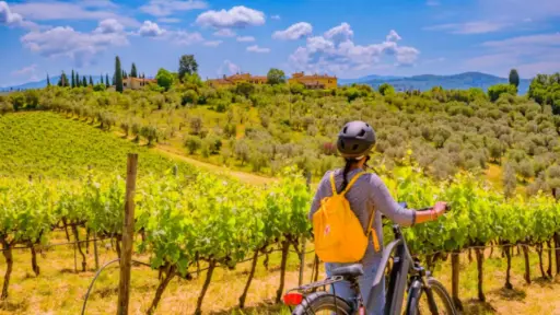 Italy, Tuscany, From Florence - Chianti Hills E-Bike Tour from Florence with Farmhouse Experience including Lunch and Wine Tasting