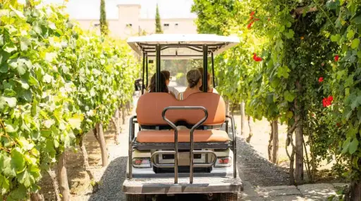 Italy, Campania, Bosco de' Medici Winery - From Vine to Table — A Volcanic Wine & Km0 Lunch Experience in Pompeii
