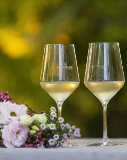 Italy, Veneto, Le Manzane - Visit Of Charity Vineyard And Winery