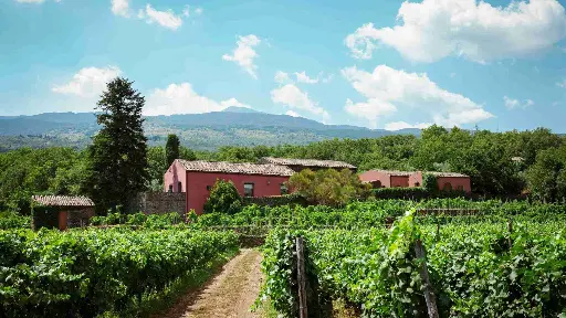 Italy, Sicily, Terrazze dell'Etna - Terrazze DOC's