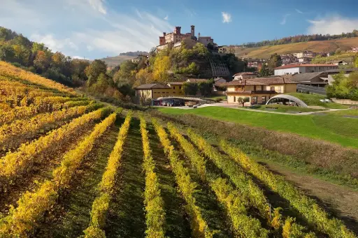 Italy, Piedmont, Cascina Adelaide - TOUR WITH THE FOUNDER