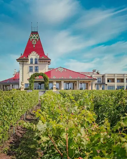 Serbia, Palic, Zvonko Bogdan - Standard tour signature wine tasting