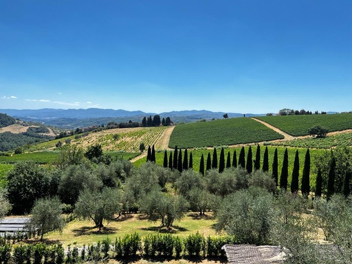 Italy, Tuscany, Villa Travignoli - Classic