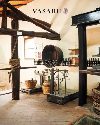 Italy, Sicily, Vasari Vini - Guided Visit of the Museum and tasting paired with local typical food