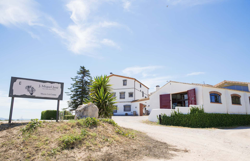 Spain, Catalonia, Bodega Miquel Jane - Complete Visit To The Winery With Wine Tasting