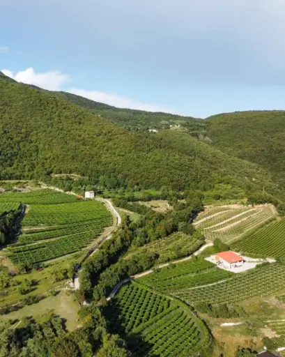 Italy, Veneto, Benazzoli - Benazzoline Wine Experience