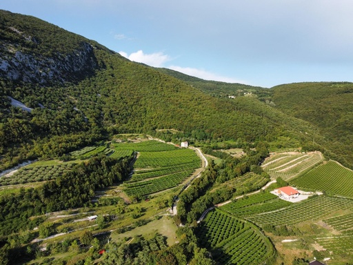 Italy, Veneto, Benazzoli - Benazzoline Wine Experience