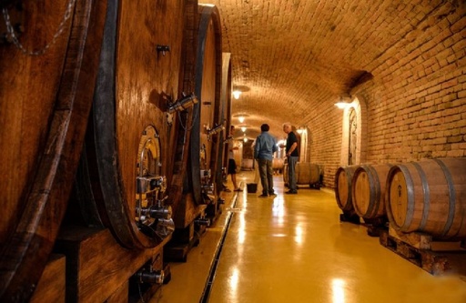 Serbia, Fruska Gora, Kovacevic - Old cellar tour & wine tasting - Menu 4
