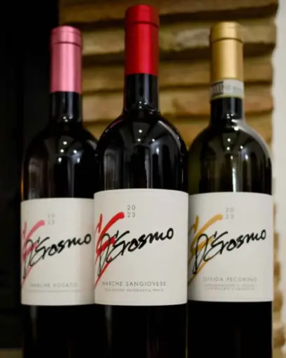 Italy, Marche, D'Erasmo - Guided Tasting