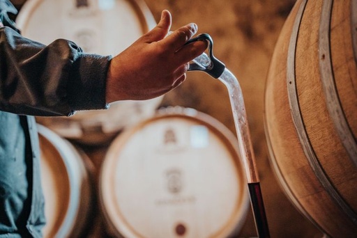 Serbia, Fruska Gora, Kovacevic - Old cellar tour & wine tasting - Meni 3