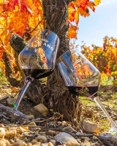 Spain, Rioja, Bodegas Lozano - Glass in hand tour