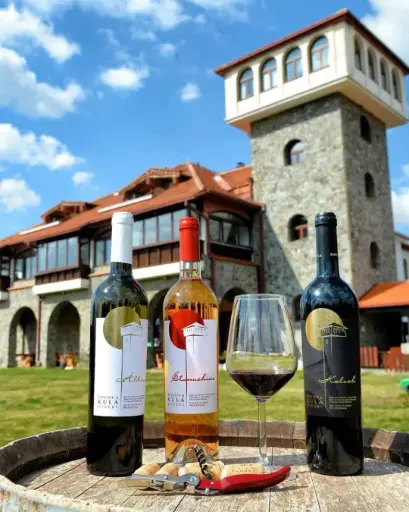 North Macedonia, Tikvesh, Winery Popova Kula - Wine Tasting Demir Kapija