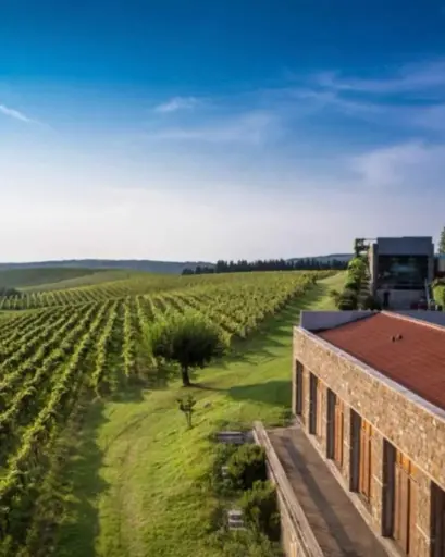 Slovenia, Slovenian Istria, Posestvo Brič - Wine degustation & winery tour