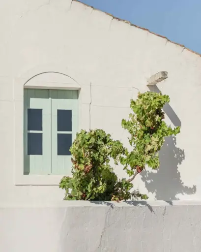 Portugal, Algarve, Morgado do Quintao - A Bottle of White Wine, Oysters Sunset