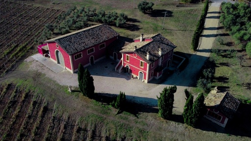Italy, Marche, D'Erasmo - 1 night with visit to the winery and wine tasting