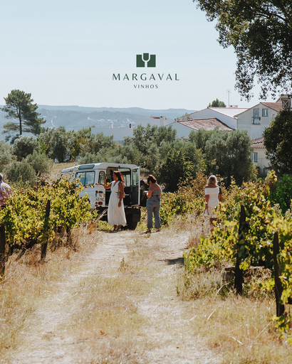 Portugal, Tejo, Adega da Gaveta - Lunch among the vines!