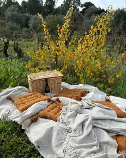 Portugal, Tejo, Adega da Gaveta - Wine Picnic for Two!