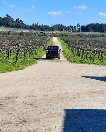 Portugal, Vinho Verde, Quinta das Arcas - Jeep Tour