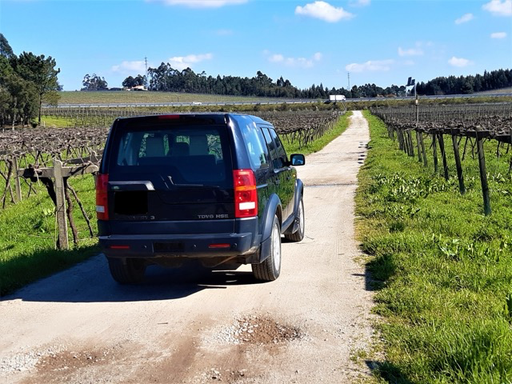 Portugal, Vinho Verde, Quinta das Arcas - Jeep Tour