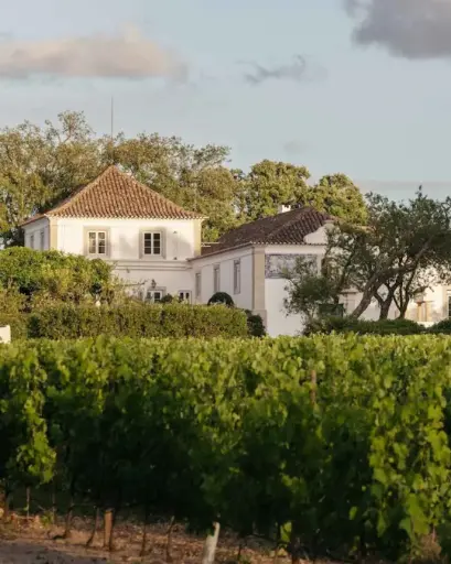 Portugal, Setubal, Herdade do Perú - Tractor Trails & Tasting Tales - wine tasting with tractor ride through the vineyards