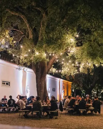Portugal, Setubal, Herdade do Perú - Wine & Dine Experience - Traditional Tastes of Portugal